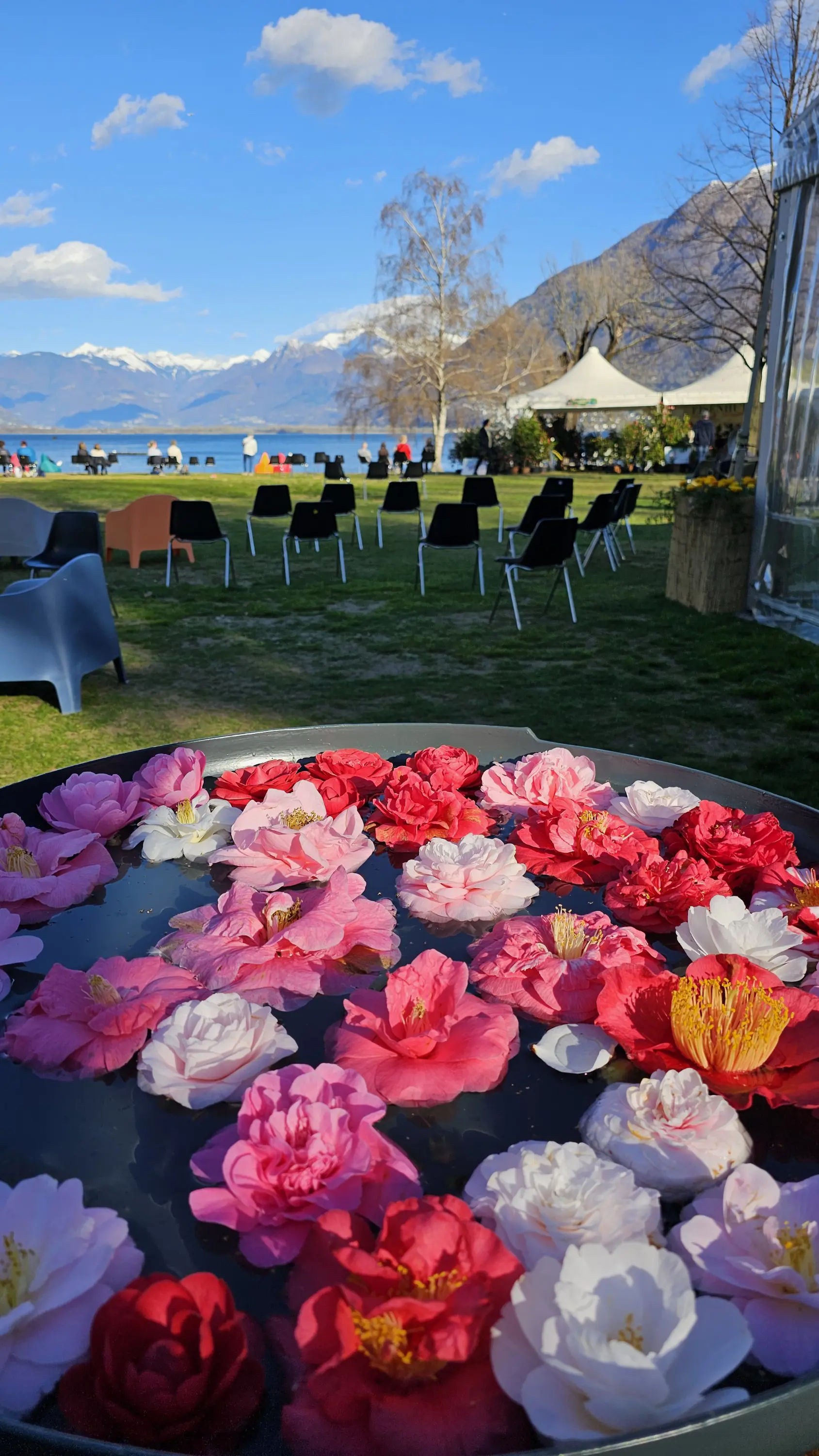 Frühling in Locarno – Blütenpracht erleben, Entspannung geniessen