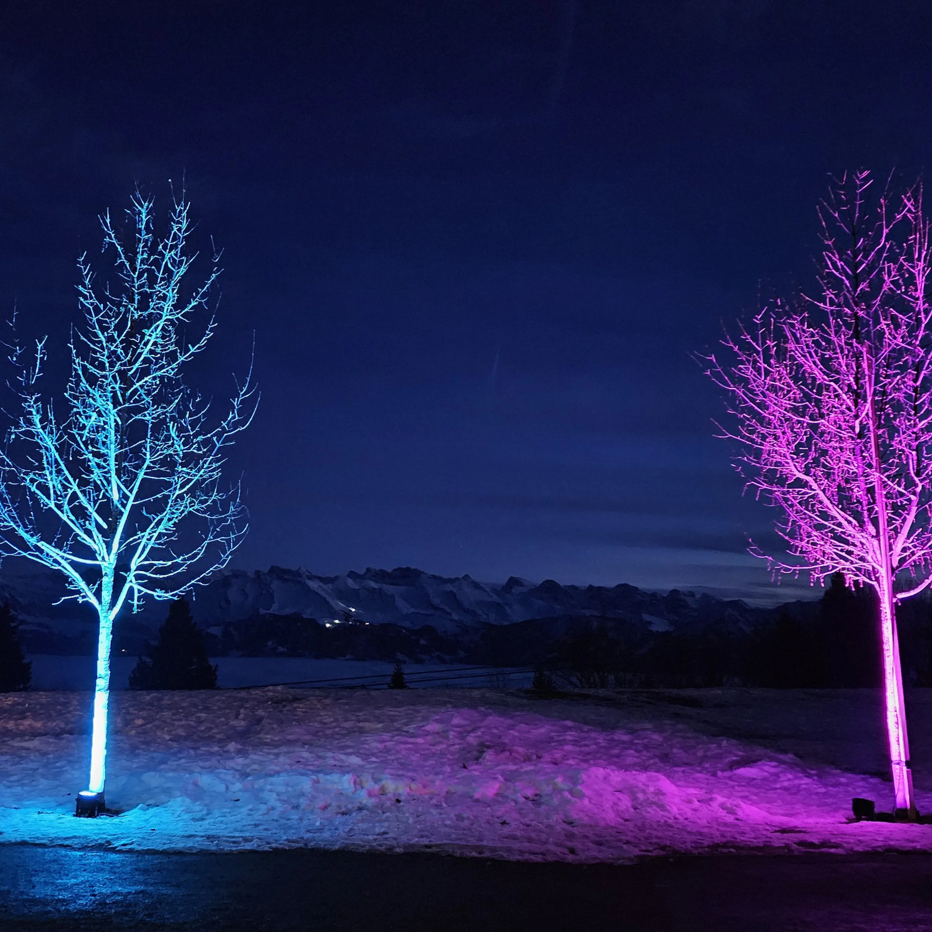 Lichtfestival Rigi